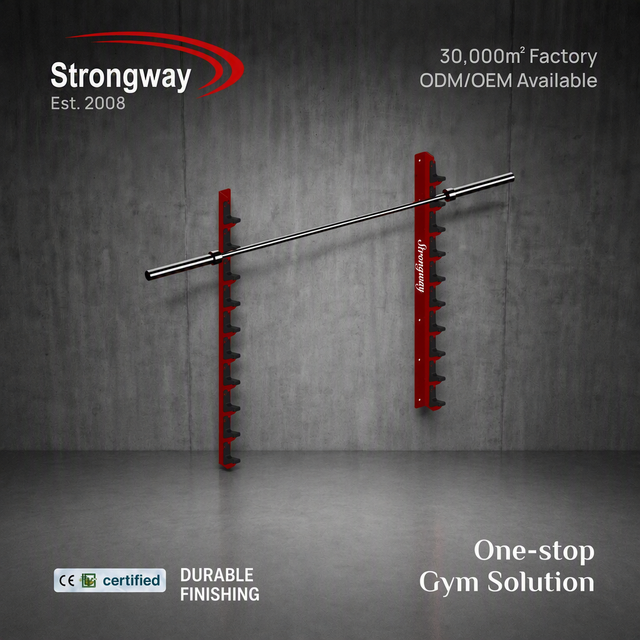 Commercial Fitness Gym Equipment Wall Mounted Body Building Power bar Rack