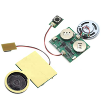 Module de son enregistrable Puce sonore programmable pour carte de voeux Carte vocale de charge USB pour jouets Cadeaux créatifs