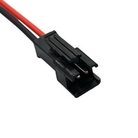 JST SM 2-Pin 3-Pin 4-Pin 2.54mm Pitch Plug pria dan wanita konektor adaptor dengan 100mm kawat kabel listrik untuk lampu LED
