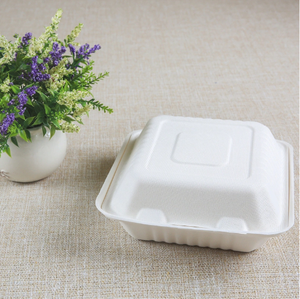 Peralatan makan Sugarcane Bagasse kotak makanan setup stabil bubur makanan wadah - Product Image 5
