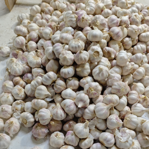 Ajo Fresco de China 100% Natural de Calidad, Ajo Blanco Fresco, Vegetales Frescos, Ajo <span class=keywords><strong>Freso</strong></span> a Granel para la Venta - Product Image 2