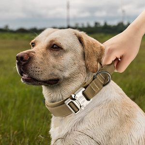 Collar Táctico para Perro con Hebilla a Prueba de Explosiones, Collar de Grado Profesional, Collar de Entrenamiento Táctico Listo para la Aventura - Product Image 6
