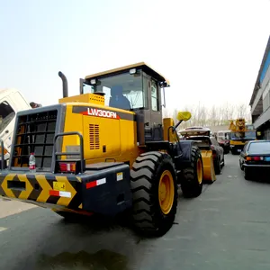 HOT SALE Mini Front End Wheel Loader 3Ton LW300FN