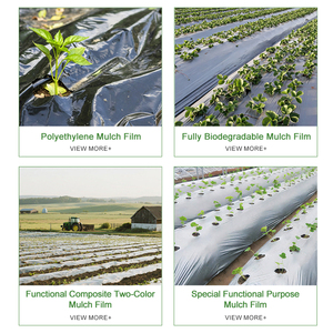Film de paillage <span class=keywords><strong>agricole</strong></span> noir et argenté 25 microns pour le contrôle des mauvaises herbes, en PE, service de découpe, durée de vie 5 ans, paiement par carte de crédit accepté - Product Image 6