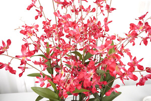 Oh Arts, Nuevo Producto, Flores de Orquídea Artificiales, Orquídea de Tacto Real en Maceta de Vidrio, Orquídeas Simuladas en Maceta para Interiores - Product Image 3