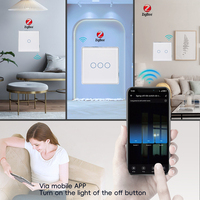 Smartdust Tuya Zigbee Smart Switch Cadre en aluminium argenté EU Fil neutre requis Light Touch Compatible Alexa Google Home 10A