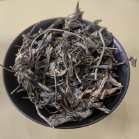 Feuilles de Polygonum tinctorii (Liao Da Qing Ye) – Plante médicinale chinoise séchée de haute qualité – Épices brutes AD pour la santé