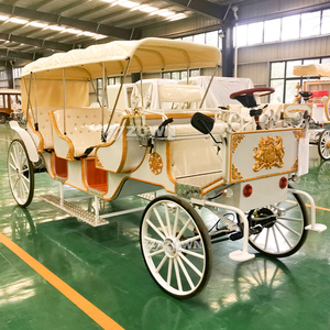Carruaje Eléctrico Personalizado Directo de Fábrica, Carruaje Turístico Vintage para Parques y Lugares Turísticos - Product Image 6