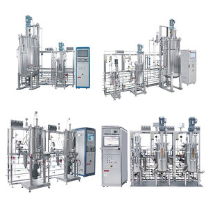 Biorreactor de Cultivo Celular y Microbiano Lab1st de 500l, 1000l, 2000l, Biorreactor de Acero Inoxidable - Product Image 6