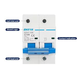 DZ47-125 100A 2P 63A 230V AC 50Hz/60Hz artık akım devre kesici aşırı akım ve kaçak koruma ile RCBO kesim L N - Product Image 2