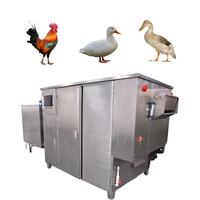 Équipement d'abattage de volailles à haute productivité automatique, équipement d'abattage de poulets/canards