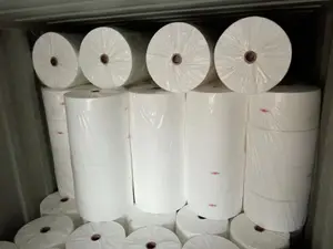 Produsen Penjualan PLA Putih Biodegradable Jarum Serat Jagung Non-tenun Asam Polylactic Non-tenun Kain Tenun