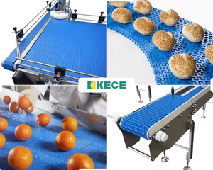 Sürgülü modüler birikimi masa konveyör 50 özel Motor Anhui alüminyum plastik dayanıklı sağlanan ulaşım bant konveyör - Product Image 5