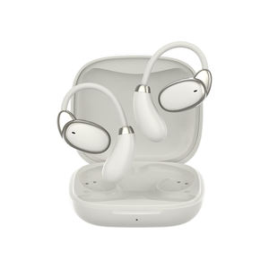 OEM/ODM Idioma Tradutor Earbuds 144 Idiomas Online Offline Ai Voz Traduzir Dispositivo De Auscultadores - Product Image 1