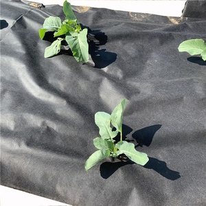 Offre Spéciale : Toile de Paillage Agricole Imperméable et Respirante en PP Spunbond, Style Uni, pour le Contrôle des Mauvaises Herbes - Product Image 1