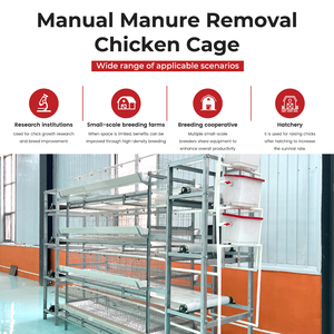 <span class=keywords><strong>Jaula</strong></span> para Gallinas Ponedoras con Cinta <span class=keywords><strong>Transportadora</strong></span>, Tipo H, Semiautomática, con Eliminación Manual de Estiércol, para Granjas Avícolas - Product Image 2