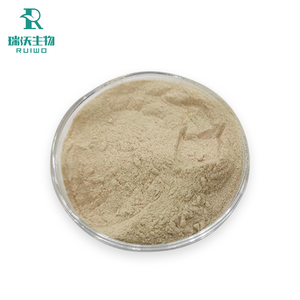 Nhà sản xuất của thực phẩm lớp 1kg moq chiết xuất thảo mộc bột hạt thiên đường hạt aframomum melegueta Sử dụng lá phần astragalus chiết xuất - Product Image 3