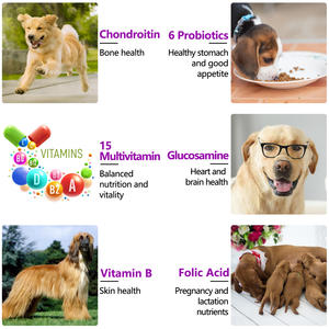 Oimmal Integratore Multivitaminico 15 <span class=keywords><strong>in</strong></span> 1 per Cani di Tutte le Età, Salute Intestinale, Integratore Vitaminico per la Cura degli Animali Domestici - Product Image 6