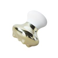 Masseur facial en métal doré avec logo personnalisé Spa Body Relaxant Face Lift Tool 304 Stainless Steel Mushroom Guasha Scraping