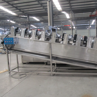 LWT Automatische Grote Knoflookverwerkingsmachine Reiniging Breken Schillen Sorteren Groente Fruit Drooglijn Friteuse Hoog