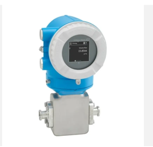 Débitmètre Endress Hauser Proline Promag H 10 Proline Promag w 10 - Product Image 2
