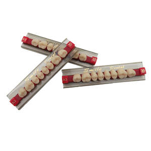 ฟันอะคริลิกเรซิ่น 16 สี ฟันหลังสังเคราะห์แบบสองชั้น - Product Image 6