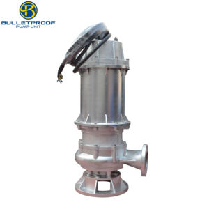 Bomba Sumergible Industrial Certificada a Prueba de Explosiones para Transferencia de Lodos y Aguas Residuales, Acero Inoxidable SS316L, 380V-660V, 2.2-550kW, 1 Año de Garantía - Product Image 1