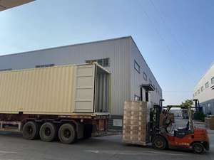 Chất kết dính 200cc không hấp thụ oxy bằng sắt & phát hành <span class=keywords><strong>CO2</strong></span> cho thực phẩm dùng cho bánh và sô cô la - Product Image 4