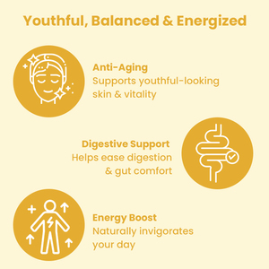 Collagène bovin OEM anti-âge, soutien digestif, boost d'énergie, crème de noix de coco aux champignons au collagène - Product Image 6