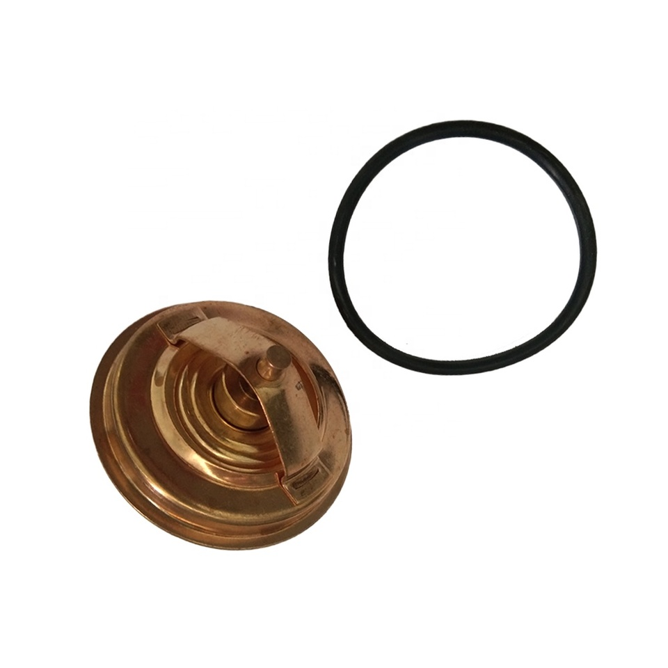 11537511083 11531740478 11531712043 Thermostat For bmw