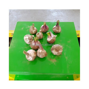 เครื่องตัดใบหอมหัวใหญ่ ได้รับการรับรองมาตรฐาน CE เครื่องตัดใบหอมสดสำหรับการเกษตร - Product Image 6