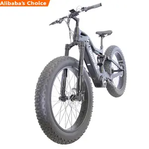 최고 힘 고속 탄소 섬유 48v ebike mtb 가득 차있는 중단 뚱뚱한 전기 자전거 1000w 탄소 e 자전거