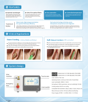 EURVET Équipement Médical Vétérinaire Laser Thulium pour Lithotripsie des Calculs chez les Animaux et Chirurgie des Tissus Mous en Clinique Vétérinaire (pour Chiens)