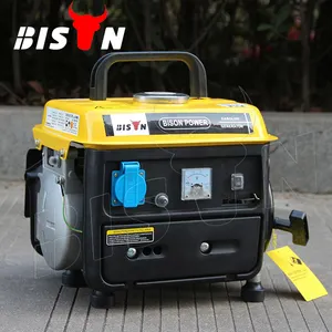 BISON(CHINA) Generators 12 Volt Dc Gas Loncin Generator Manual Nigeria Generator