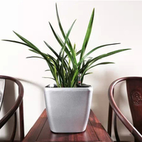 Vaso de planta de plástico quadrado polonês para rosa, plantas, árvores, escritório e sala de estar