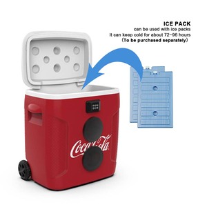 Chất Lượng Cao Âm Nhạc Âm Thanh Máy Nghe Nhạc Nhựa Chuyên Nghiệp Mini Xách Tay Xe Đẩy Nước Mát Hộp Với Bánh Xe Và Loa Phụ Kiện - Product Image 6