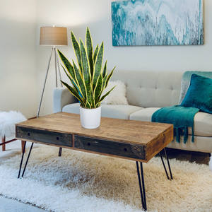 <span class=keywords><strong>Planta</strong></span> <span class=keywords><strong>Artificial</strong></span> Sansevieria <span class=keywords><strong>de</strong></span> Plástico <span class=keywords><strong>de</strong></span> Primera Calidad, Tipo Madre <span class=keywords><strong>de</strong></span> la Novia, para Decoración <span class=keywords><strong>de</strong></span> Mesa en el Hogar - Product Image 4