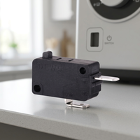 Micro-interrupteur DEWO avec 2 broches -25t125 250v 16a pour petits appareils électroménagers