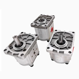 Высококачественный Гидравлический шестеренный насос Lowrider от производителей мини-насосов - Product Image 1