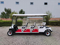Voiture de chasse classique vintage pour adulte, chariot de plage, buggy de golf rétro, buggy de chasse pour la plage et les excursions panoramiques