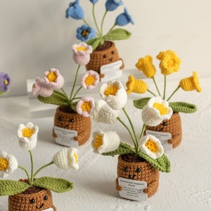 Cross-border New Style Handmade Crochet Plant Pots Creative Knitted Mini Cute Emotional <strong>Support</strong> Plant Home Decor <strong>Flowers</strong> - Product Image 1