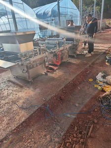 Tự động dây chuyền sản xuất 128 200 tế bào tùy chỉnh khay hạt giống máy trồng cho hành tây cà chua hạt giống - Product Image 2