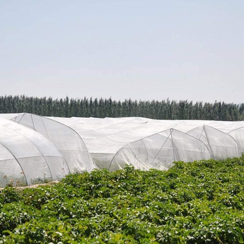 Eco Friendly Farm Clear Anti Insect