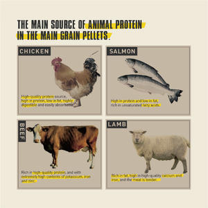 סיטונאי בתפזורת מזון לחיות מחמד הגבוהה ביותר של ספק מזון חתולים יבש חלבון - Product Image 3