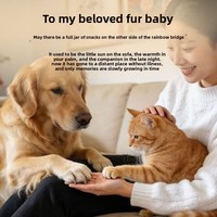 Kit de Fournitures Cérémonielles pour Animaux de Compagnie en Gros – Offrandes Cérémonielles en Papier Assorties, Tributs en Forme d'Os pour Services Funéraires Commémoratifs de Chats et Chiens