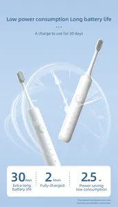 ポータブルトラベル充電式ソニックアダルトUsb電動歯ブラシEscovaDe Dente Personalizada