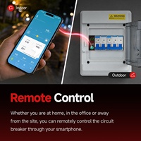 Nouveau disjoncteur intelligent WiFi Tuya 63A avec mesure de consommation kWh, protection contre les surtensions, réenclenchement automatique et fonction prépayée