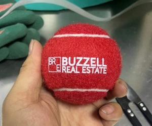 Custom Logo Tennis <strong>Balls</strong> for <strong>Dogs</strong> 2.5" High Bounce Durable Squeaky Tennis <strong>Balls</strong> <strong>Dog</strong> Training <strong>Ball</strong> with Assorted Colors - Product Image 3
