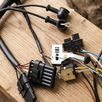 Produsen Kabel Harness Wiring HarnessODM OEM 	   Produsen Perakitan Kabel Kawat untuk Sepeda Motor dan Kendaraan