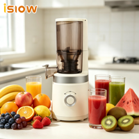 SJ-084 Nieuw Ontwerp 3.93 Inch Brede Invoeropening Koudpers Sapcentrifuge Fruit en Groenten Huishoudelijk Gemakkelijk te Reinigen Slow Juicer
